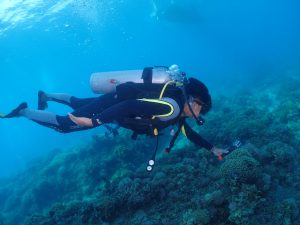 Discover Scuba Diving photo 7