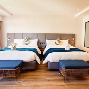 premiere suite pinnacle