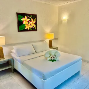 superior room casa pilar (1)