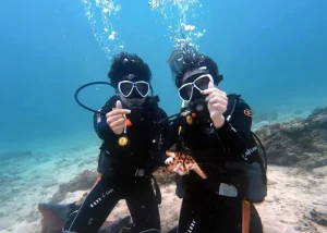 discover scuba